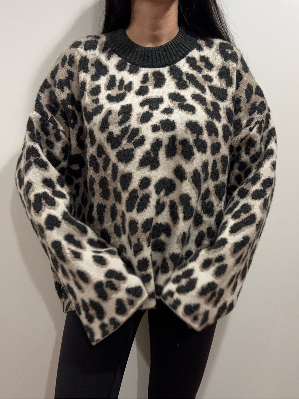 H&M Leopard Print Crewneck Sweater in Black and Cream